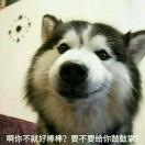 墨瞳殇的个人资料头像