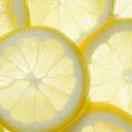 phenmod86270的个人资料头像