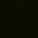 leo同志86290的个人资料头像