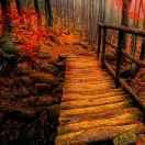 dcl1793的个人资料头像