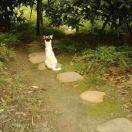 半仙同学的个人资料头像