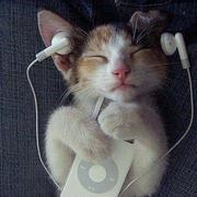 Aresxue的个人资料头像