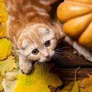 轻风同学的个人资料头像