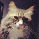 暗夜星辰不想说话的个人资料头像