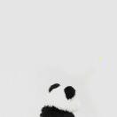 q就是我86642的个人资料头像