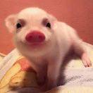 97的个人资料头像