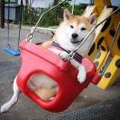 JAmie86793的个人资料头像