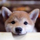 郭亚欣的个人资料头像