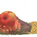 upo的个人资料头像