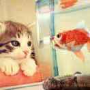 随意不想说话的个人资料头像