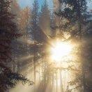 如初如梦的个人资料头像