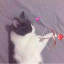 BFF的个人资料头像