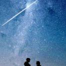 lez的个人资料头像