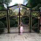 数字Gannon的个人资料头像