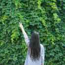 冰琪淋的个人资料头像