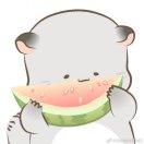 爱学习的个人资料头像