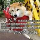 shmily穷尽的个人资料头像