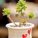 零度圈的个人资料头像