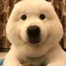 稍安勿躁重名了的个人资料头像