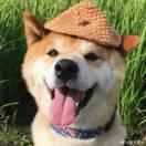 Helene重名了的个人资料头像