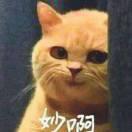 妙啊同志的个人资料头像