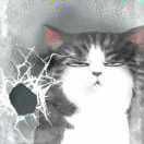 猴子的救兵在掘金的个人资料头像