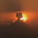 小灰灰爱学习的个人资料头像