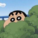 Hardwell的个人资料头像