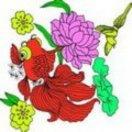 雅绿的个人资料头像