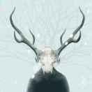 mine酱87368的个人资料头像