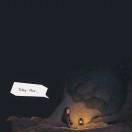 鹿MAPLE的个人资料头像