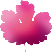 Omiturix的个人资料头像