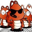 虾兵小将的个人资料头像