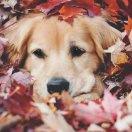 不买房谢谢的个人资料头像