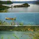 allen不想说话87520的个人资料头像