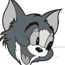 沁园春的个人资料头像