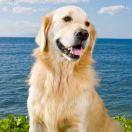 东南西北的个人资料头像