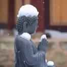 平君87601的个人资料头像