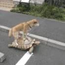 用户2946346894764429的个人资料头像