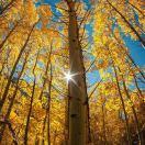 跑贼神的个人资料头像