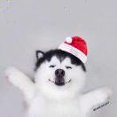 MuYoecho的个人资料头像