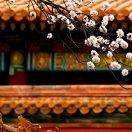 ArronL的个人资料头像