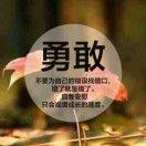 小小一文的个人资料头像