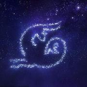 blankWhit的个人资料头像