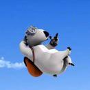 灰灰熊的个人资料头像