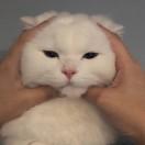 俺是木头的个人资料头像