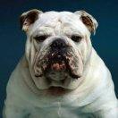 ambition重名了87817的个人资料头像