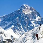 aliceliu17的个人资料头像