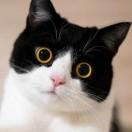 Hzy的个人资料头像