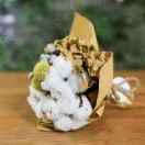 travelinglight87872的个人资料头像